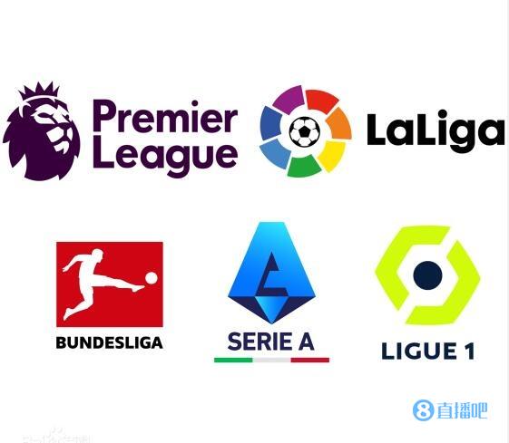 兼任球员与 兼任球员与